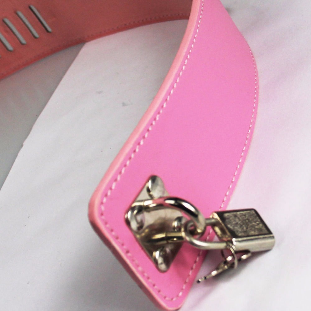 Candy Pink Leash & Collar