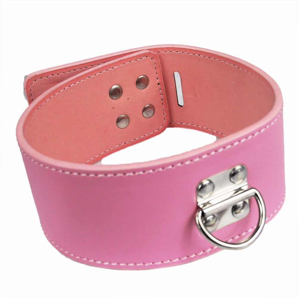 Candy Pink Leash & Collar