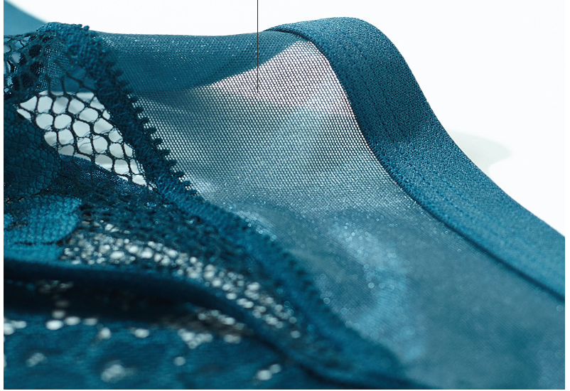 Parisan Chic Lace Triangle Bra