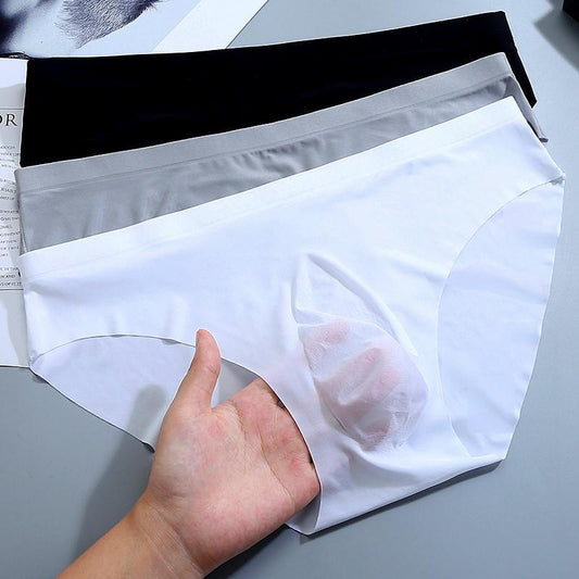 Translucent Panties