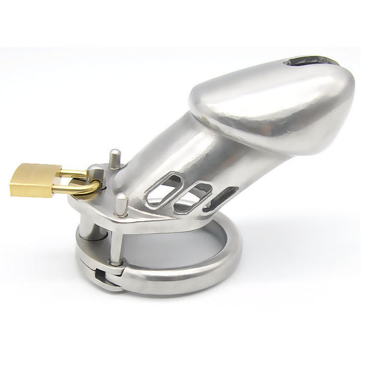 The Steel Sentinel Chastity Cage