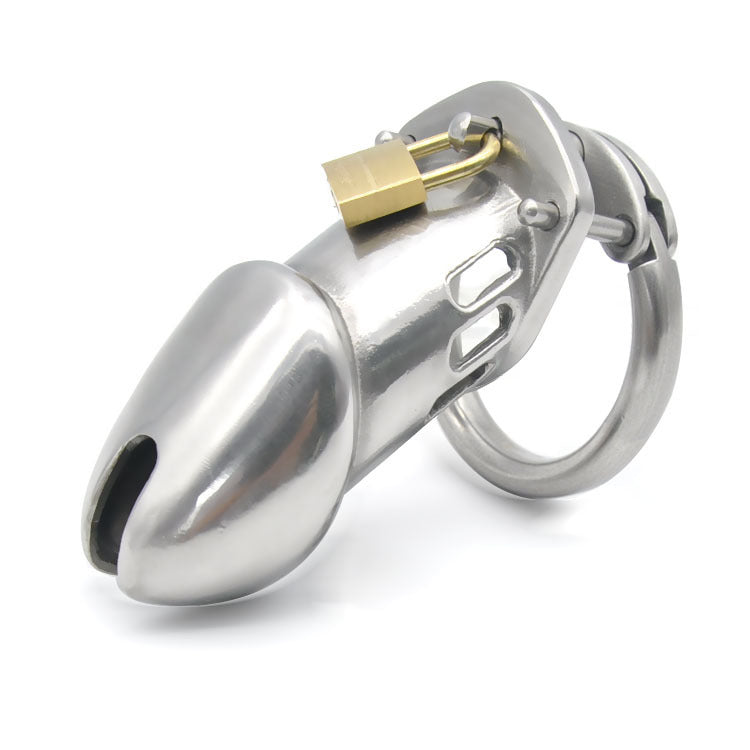 The Steel Sentinel Chastity Cage